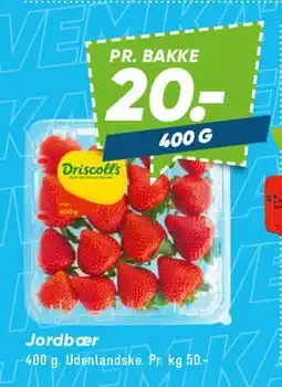 Bilka Jordbær (bakke) tilbud