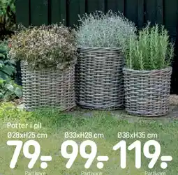 REMA 1000 Altankasse / Hængeampel / Potter i pil tilbud