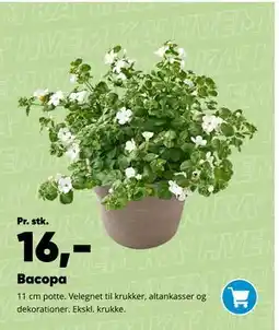 Bilka Bacopa tilbud