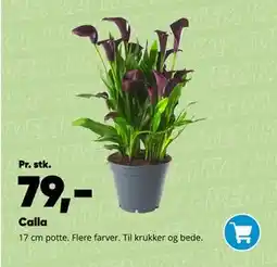 Bilka Calla tilbud