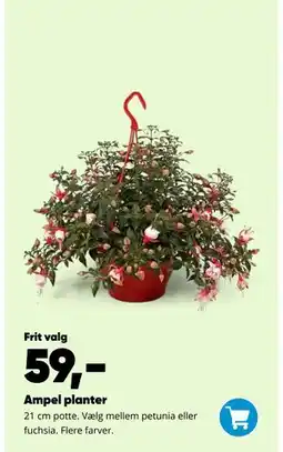 Bilka Ampel planter tilbud