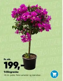 Bilka Trillingranke tilbud