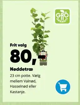 Bilka Nøddetræ tilbud