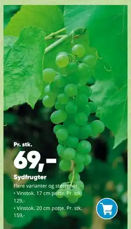 Bilka Sydfrugter tilbud
