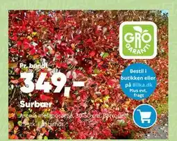 Bilka Surbær tilbud