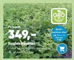 Bilka Fuglekirsebær tilbud