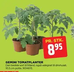 jem & fix GEMINI TOMATPLANTER tilbud