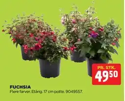 jem & fix FUCHSIA tilbud