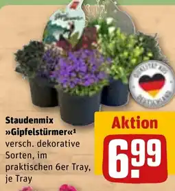 REWE DE Staudenmix Gipfelstürmer tilbud