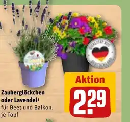 REWE DE Zauberglöckchen oder Lavendel tilbud