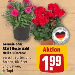 REWE DE Geranie oder REWE Beste Wahl Nelke Oscar tilbud