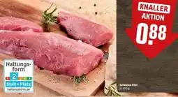 REWE DE Schweine-Filet, EUR 88 tilbud