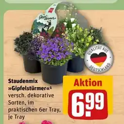REWE DE Staudenmix Gipfelstürmer¹, EUR 6.99 tilbud