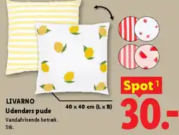 Lidl Udendørs pude tilbud