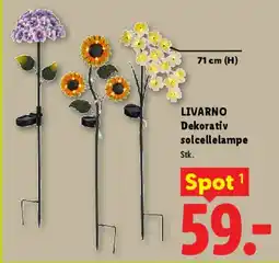 Lidl Dekorativ solcellelampe tilbud