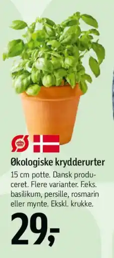 Føtex Økologiske krydderurter tilbud
