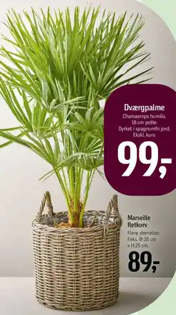 Føtex Marseille fletkurv tilbud