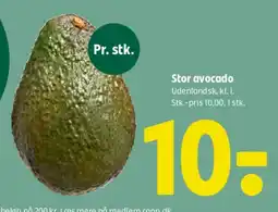 Coop 365 Stor avocado tilbud
