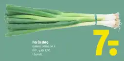 Coop 365 Forårsløg tilbud