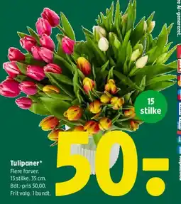 Coop 365 Tulipaner tilbud