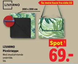 Lidl LIVARNO Picnictæppe tilbud