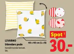 Lidl LIVARNO Udendørs pude tilbud