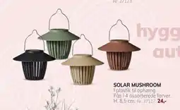 Daells Bolighus SOLAR MUSHROOM tilbud