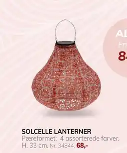 Daells Bolighus SOLCELLE LANTERNER tilbud