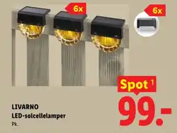 Lidl LIVARNO LED-solcellelamper tilbud