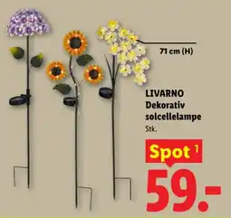 Lidl LIVARNO Dekorativ solcellelampe tilbud