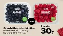 SuperBrugsen Coop blåbær eller hindbær tilbud