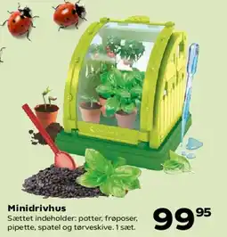 Kvickly Minidrivhus tilbud