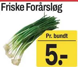ABC Lavpris Friske Forårsløg tilbud