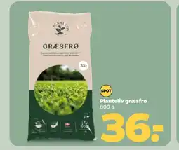 Netto PLANTELIV Græsfrø tilbud