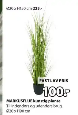 JYSK MARKUSFLUE kunstig plante tilbud
