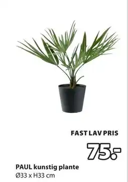 JYSK PAUL kunstig plante tilbud