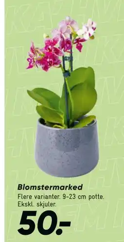 Bilka Blomster marked tilbud