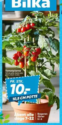 Bilka Tomatplante tilbud