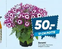Bilka Senetti tilbud