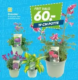 Bilka Stauder tilbud