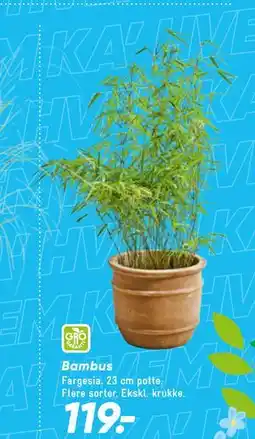 Bilka Bambus tilbud