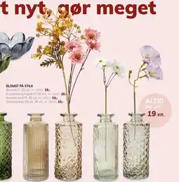 Daells Bolighus BLOMST PÅ STILK tilbud