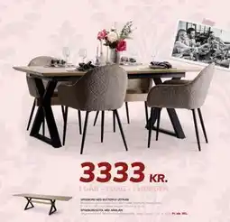 Daells Bolighus SPISEBORDSSTOL MED ARMLÆN tilbud