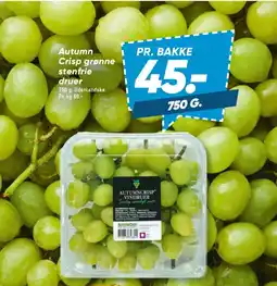 Bilka Autumn crisp grønne stenfrie druer tilbud