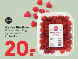 SPAR Gestus Hindbær tilbud
