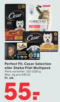 SPAR Perfect Fit, Cesar Selection eller Sheba Filet Multipack tilbud