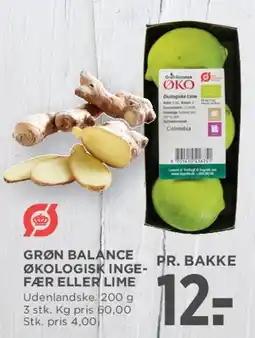 MENY Grøn Balance økologisk ingefær eller lime tilbud
