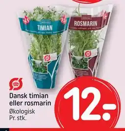 REMA 1000 Dansk timian eller rosmarin tilbud