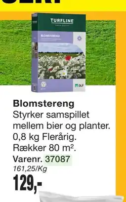 Harald Nyborg Blomstereng tilbud