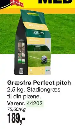 Harald Nyborg Græsfrø Perfect pitch tilbud